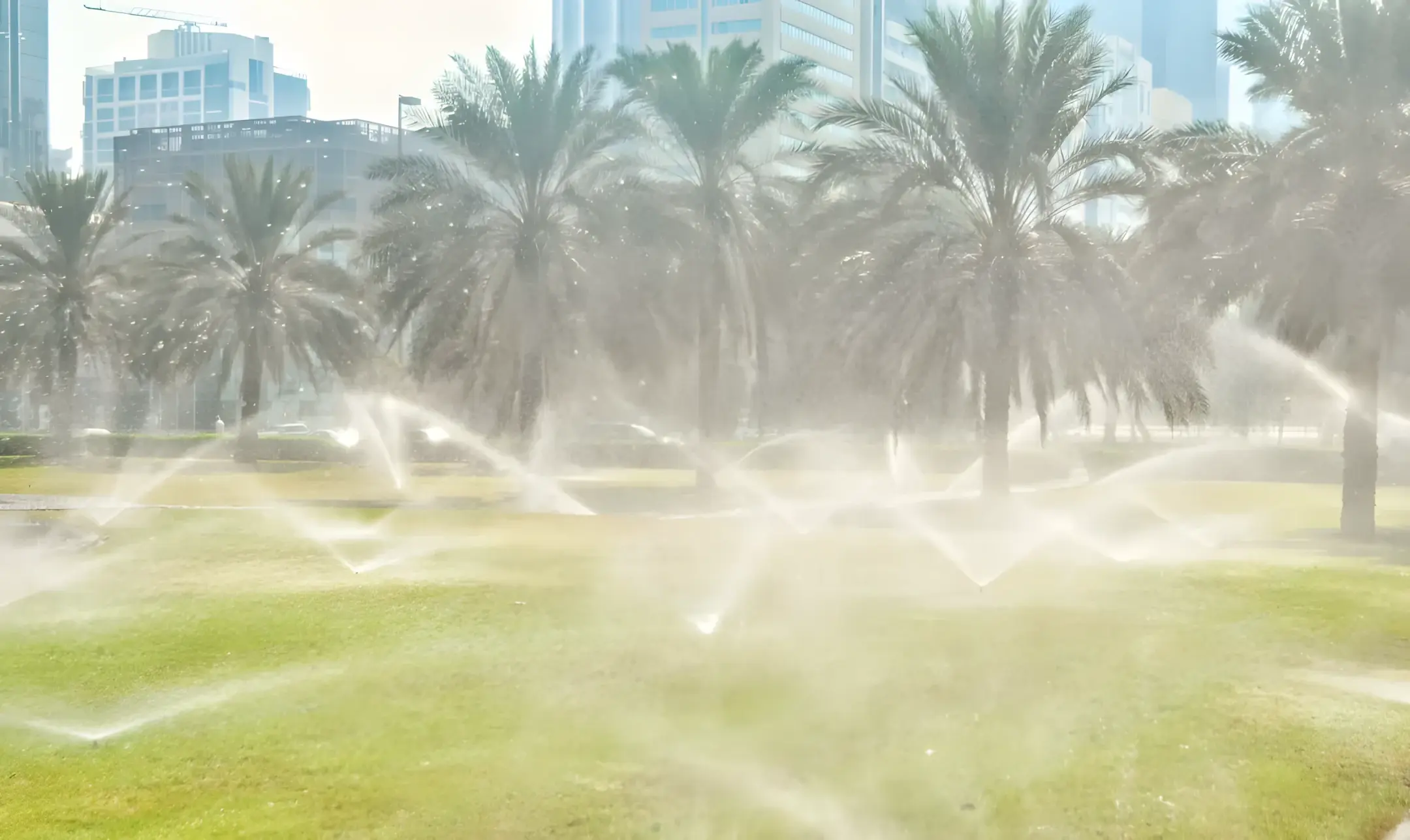 Irrigation running near palm trees at a Clearwater property