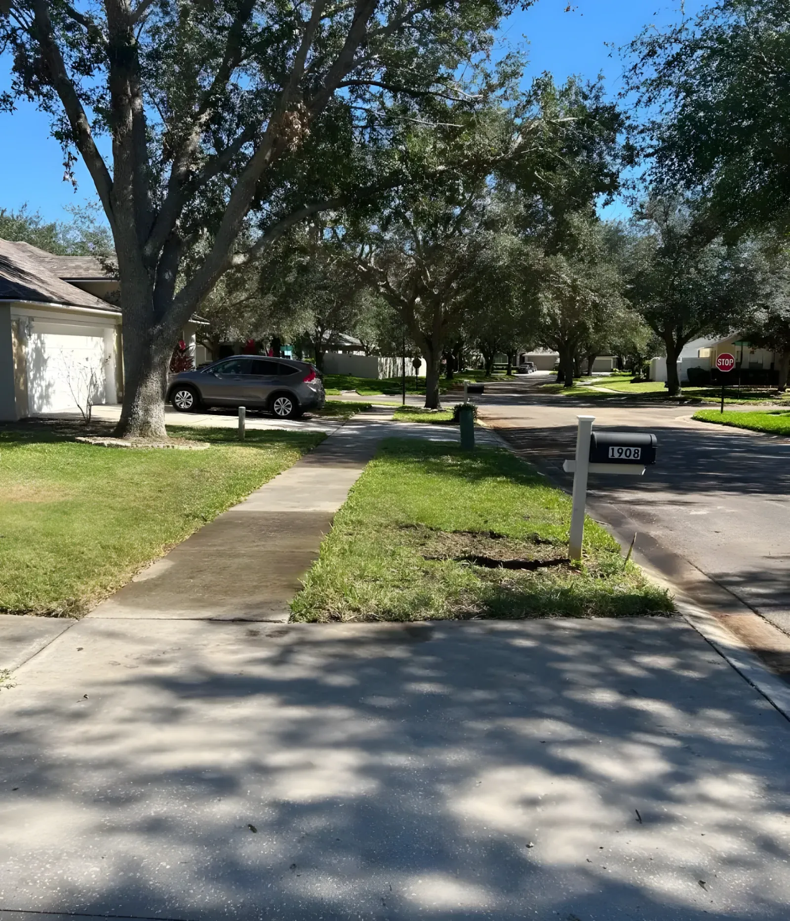 Repaired sidewalk section at a Tampa commercial property