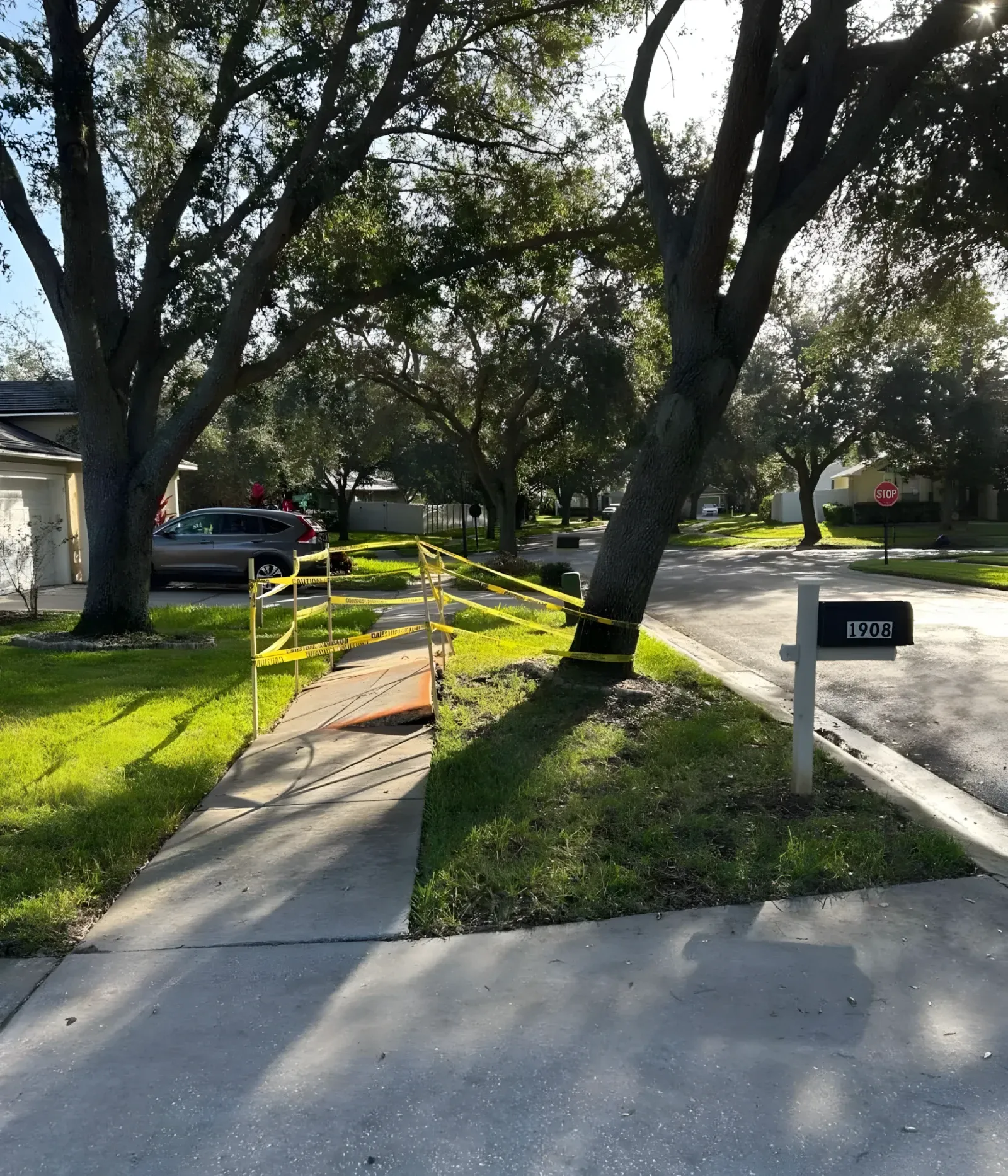 Tree root damage lifting a walkway at a Tampa commercial property