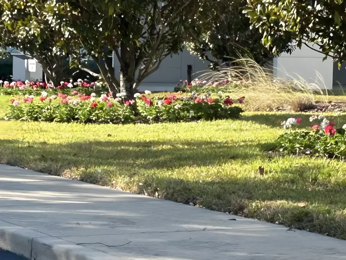 Sidewalk flower beds at a commercial property in Tampa
