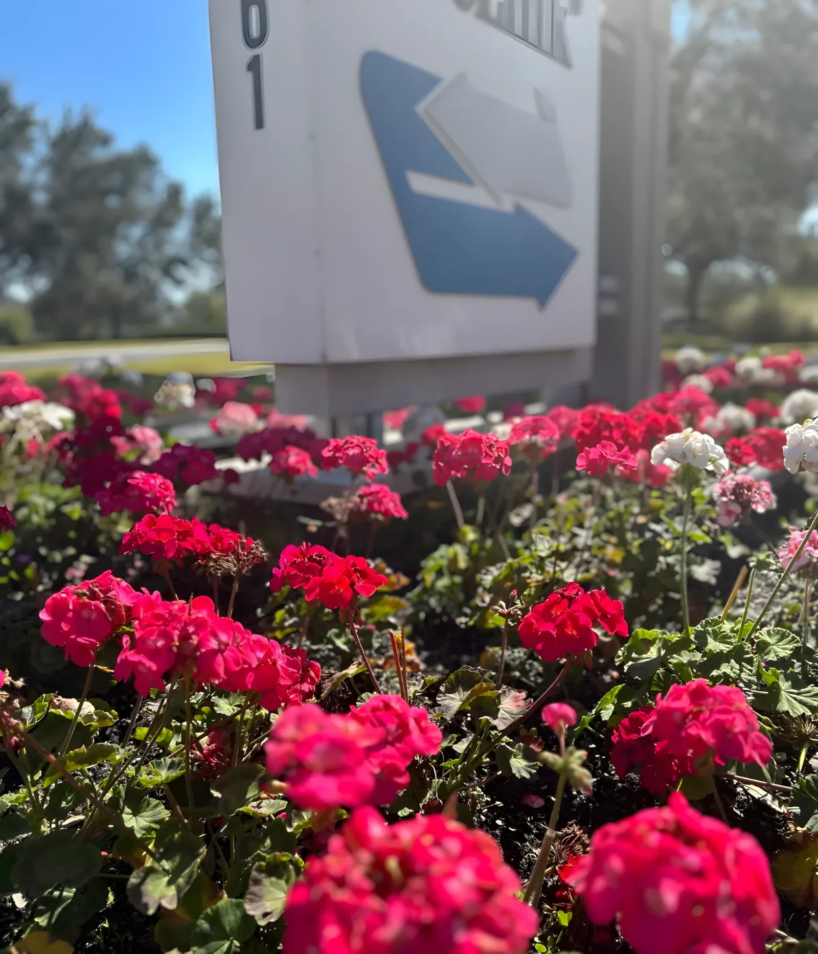 Flowers planted around a corporate monument sign in Tampa
