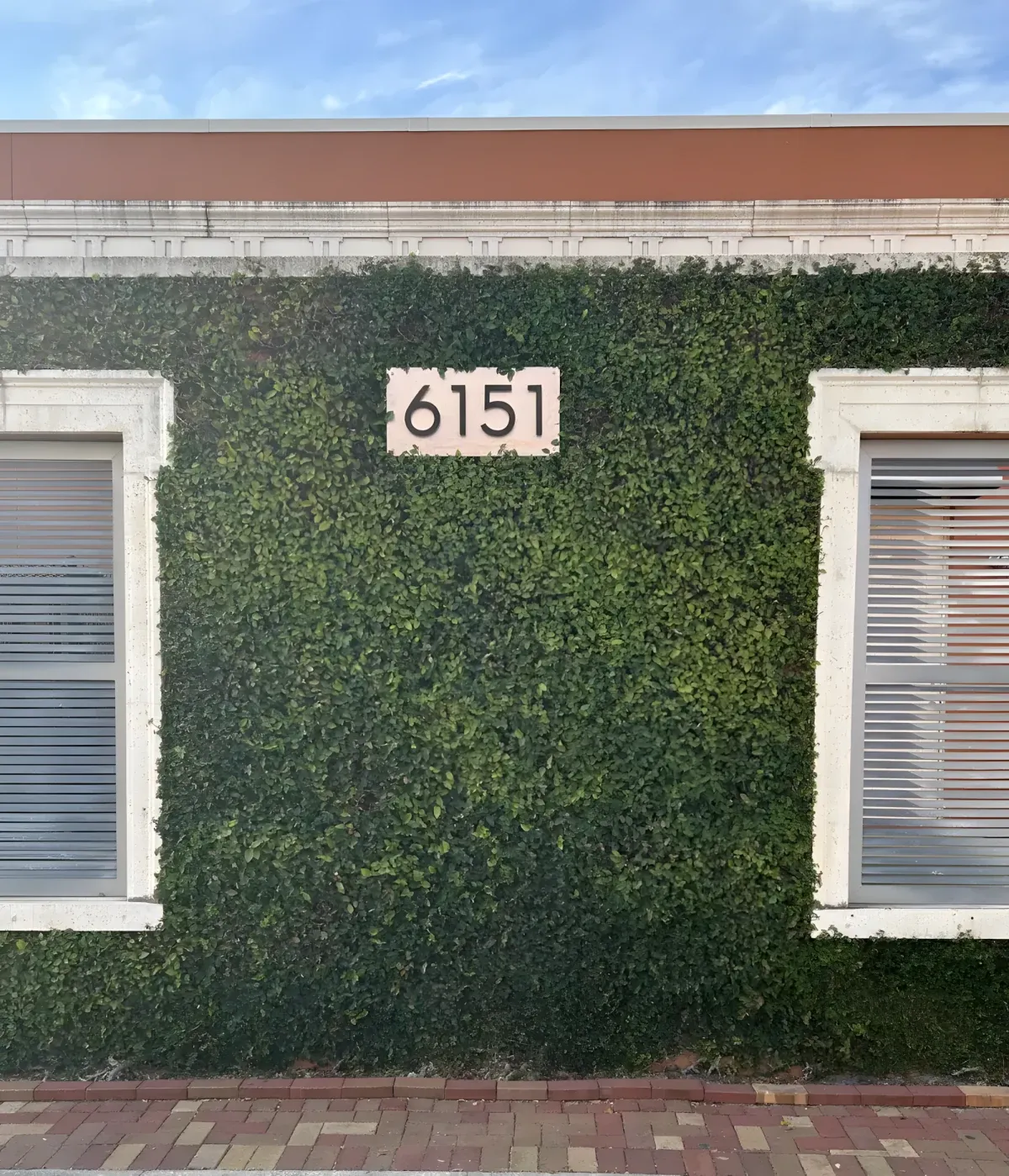 Ivy wall at a commercial property in Tampa