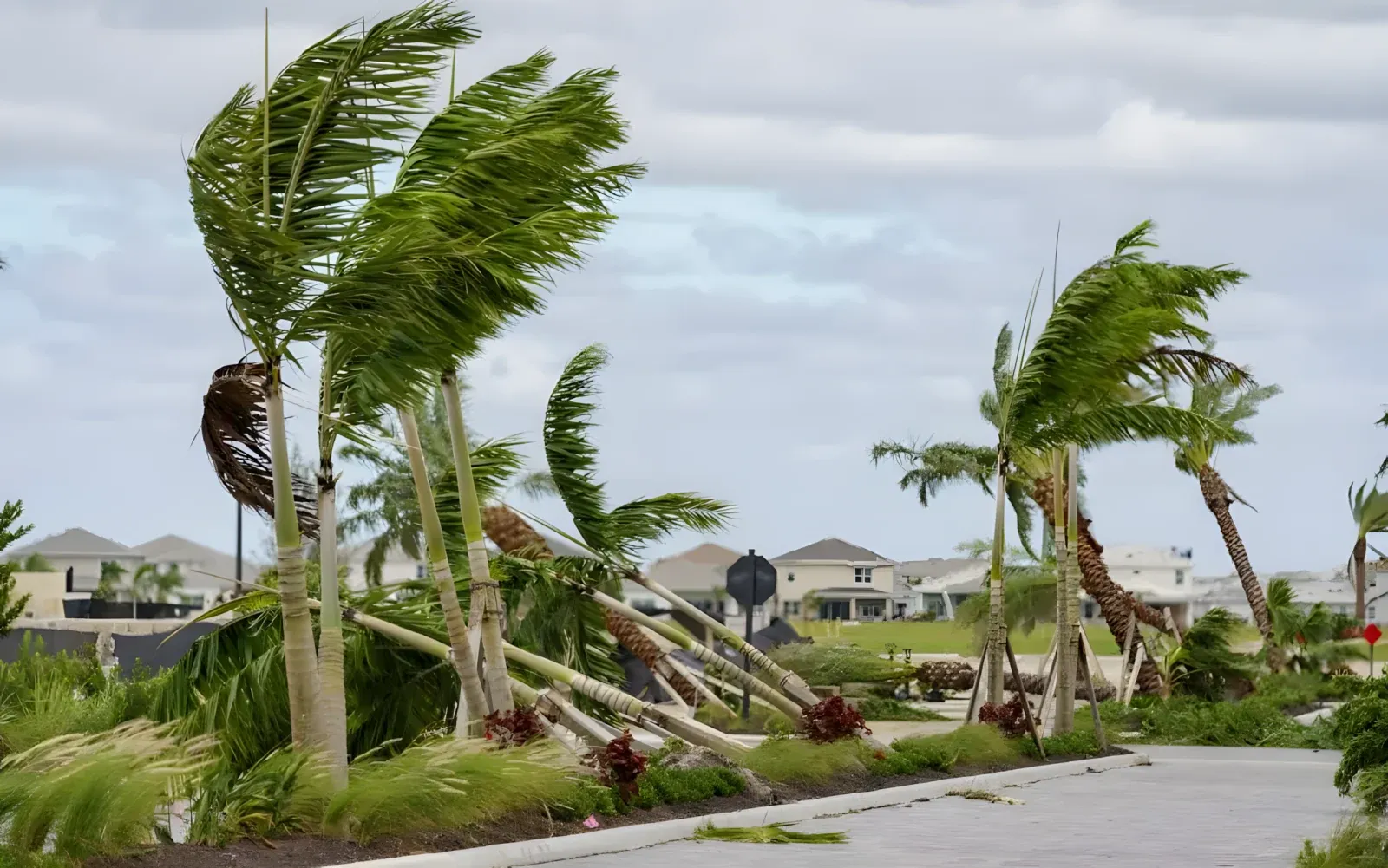 Storm damage cleanup at a property in Tampa