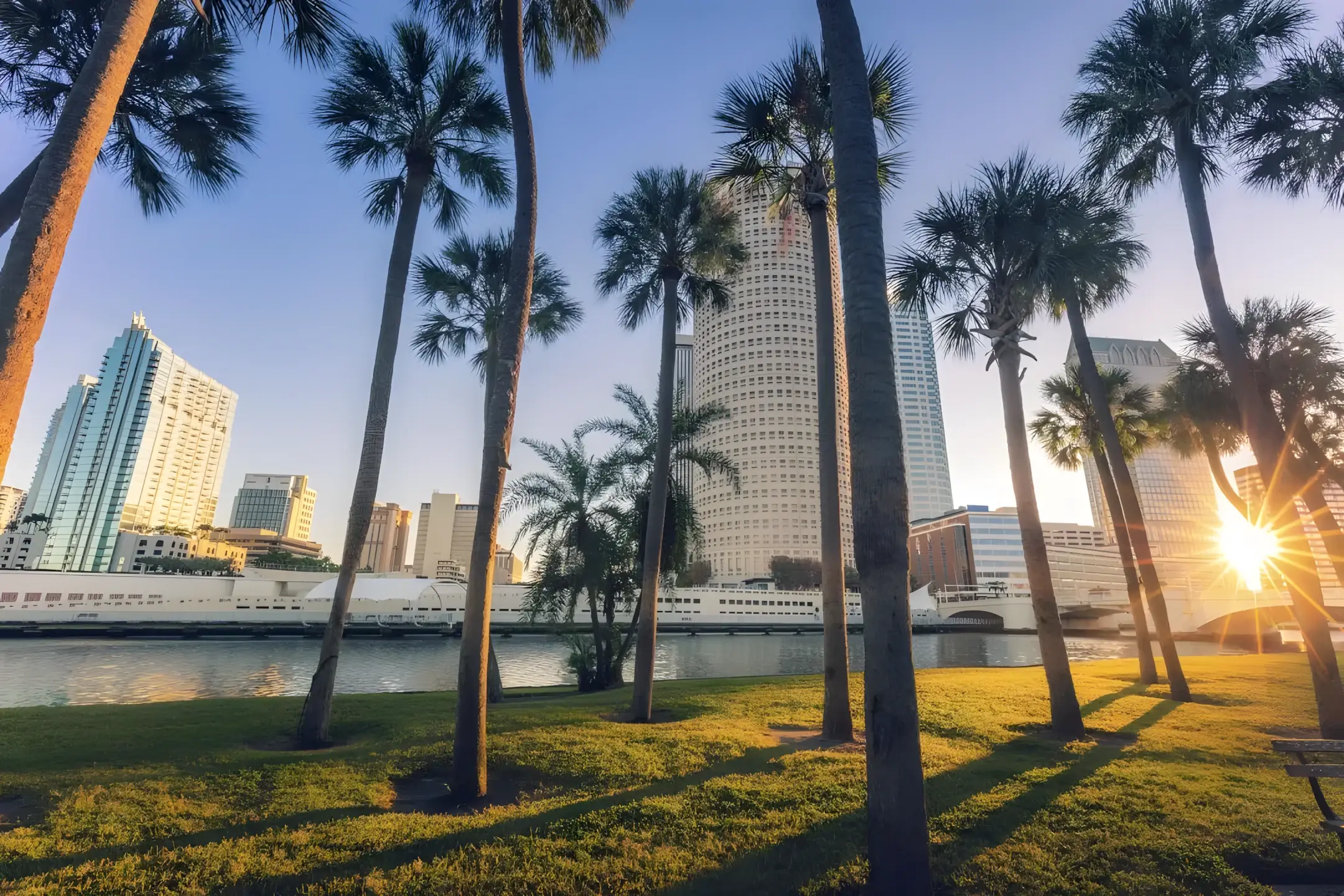 Palm trees along the Tampa waterfront with the downtown skyline behind