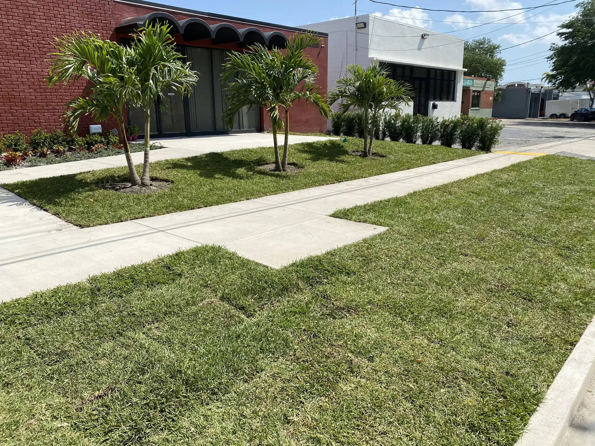 New sod, walkway and palms installed at a Tampa commercial property