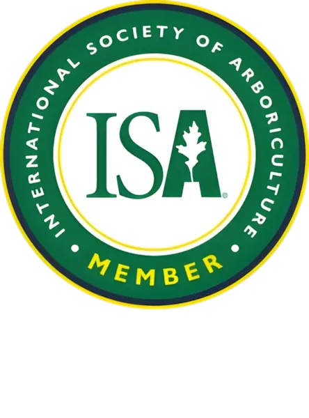 International Society of Arboriculture member