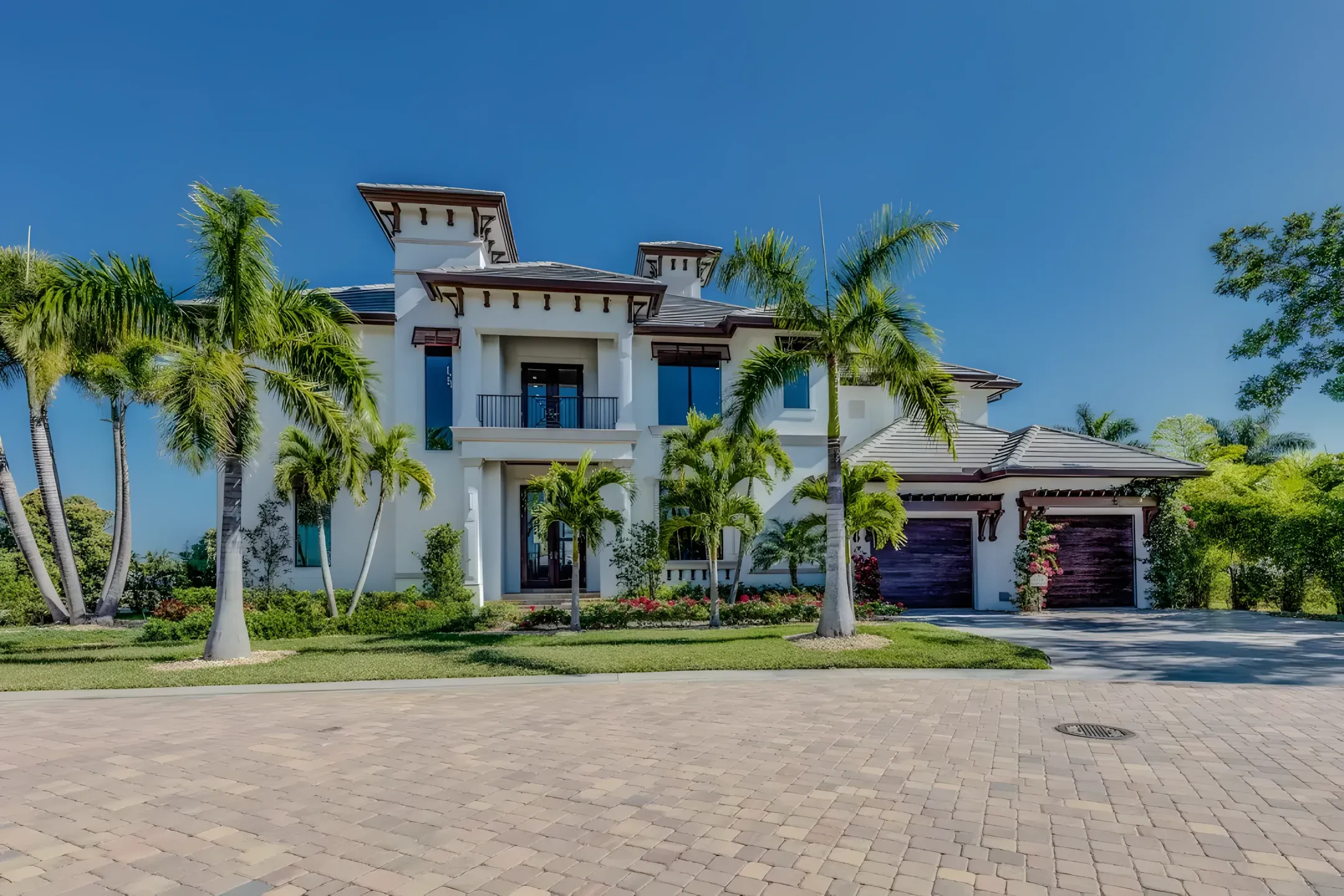 Mature palm trees at a residential property in Tampa