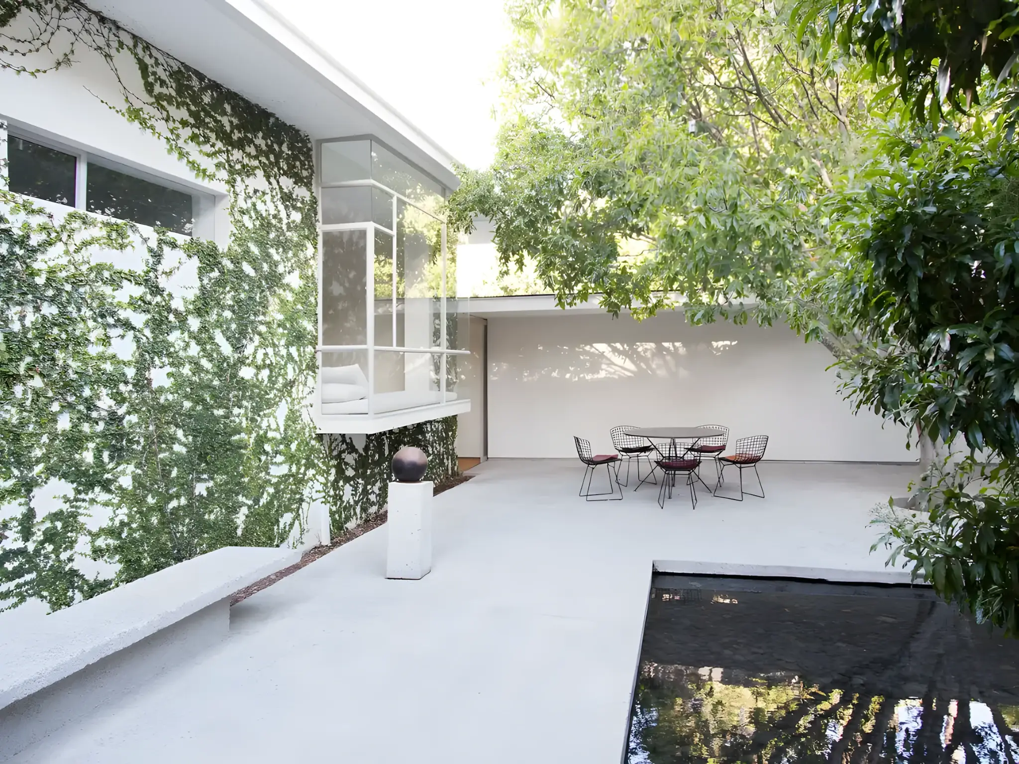 Modern residential courtyard landscaping in Tampa