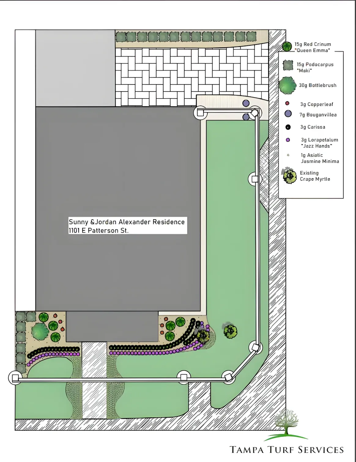 Poolside garden planting at a Tampa home